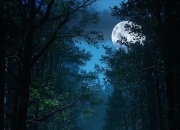 撞鬼后有什么感觉？招鬼的症状