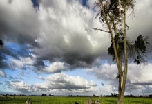 绝版符法秘术（计害人家符、雪山咒、治邪魔符法、断血符法、治犬咬伤符等）