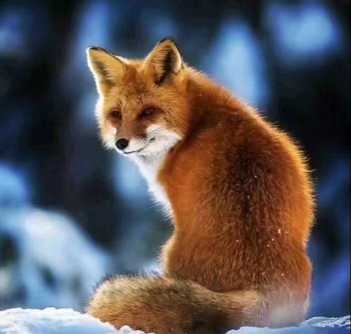 仇仙不处理对弟子有哪些影响？