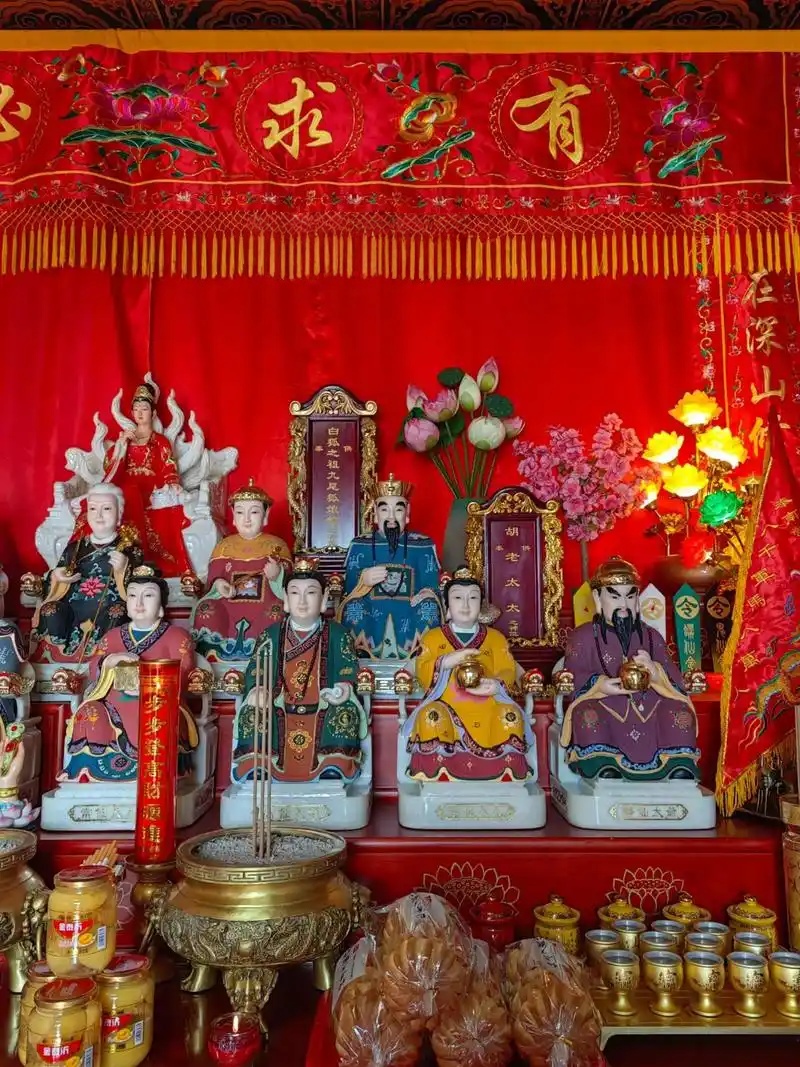 胡家仙擅长什么