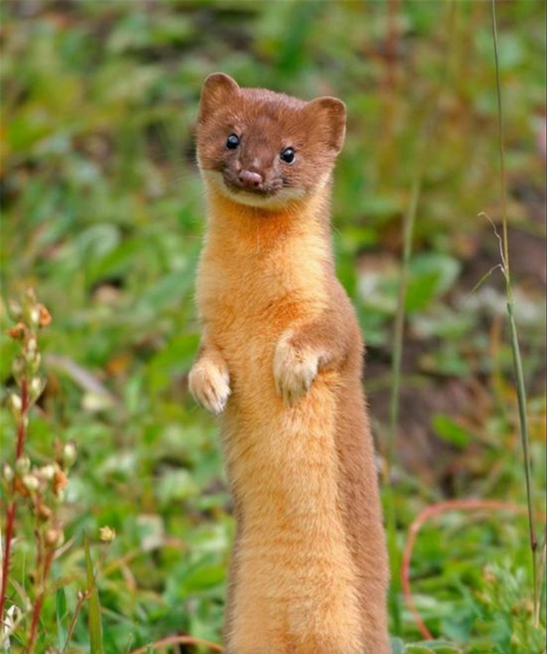 打窍失败会怎样？