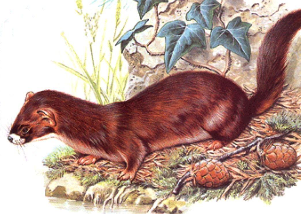 什么情况下仙家会拒绝看事?