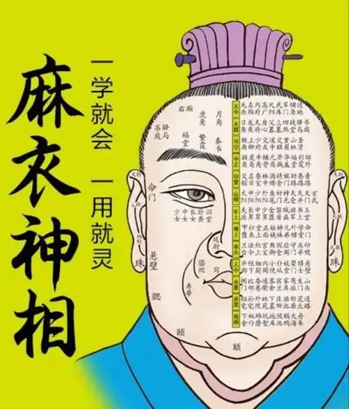 眉宇间的乾坤：眉毛的形状、疏密与运势起伏的深层解读