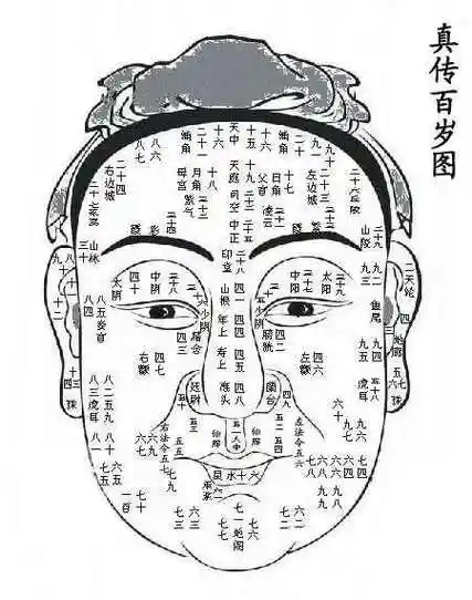 眼睛的神采、形状与个人命运的内在关联