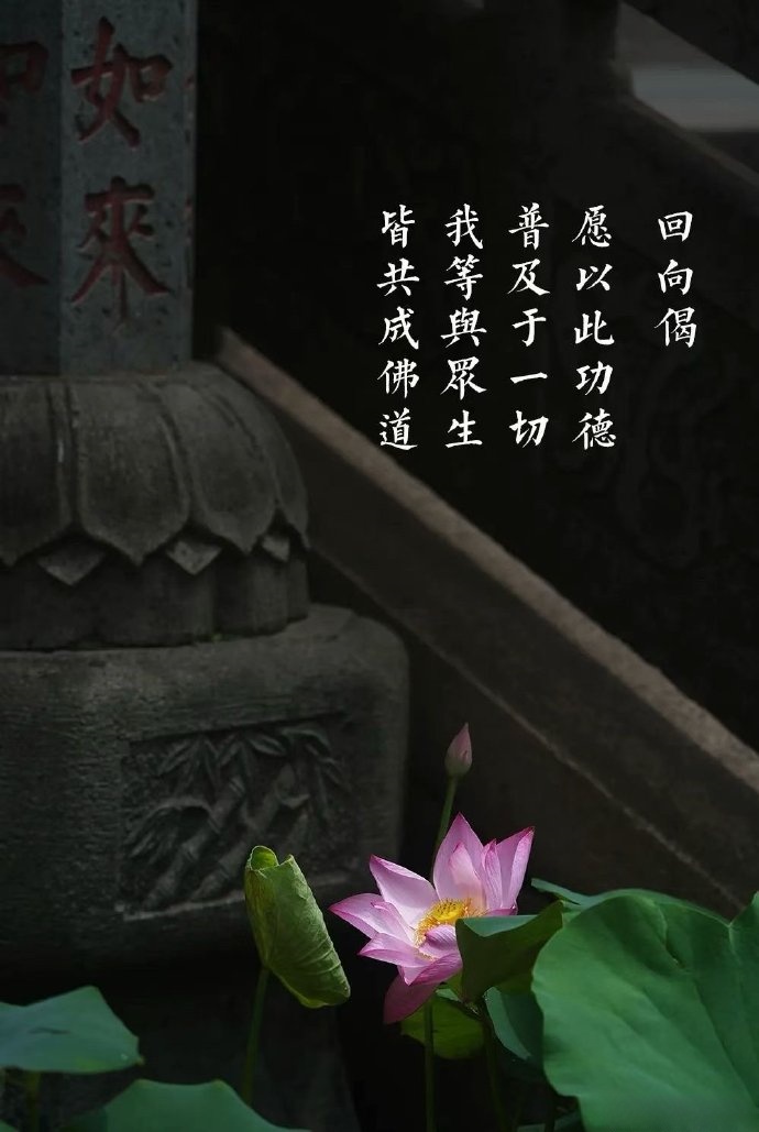 净土法门：易行道的安心之法