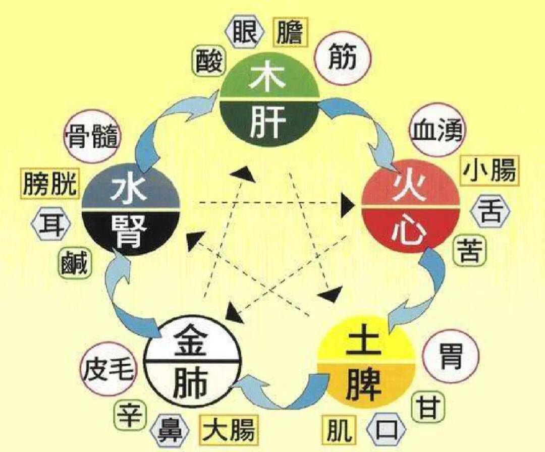 八字五行与脏腑健康：命理中的疾病密码