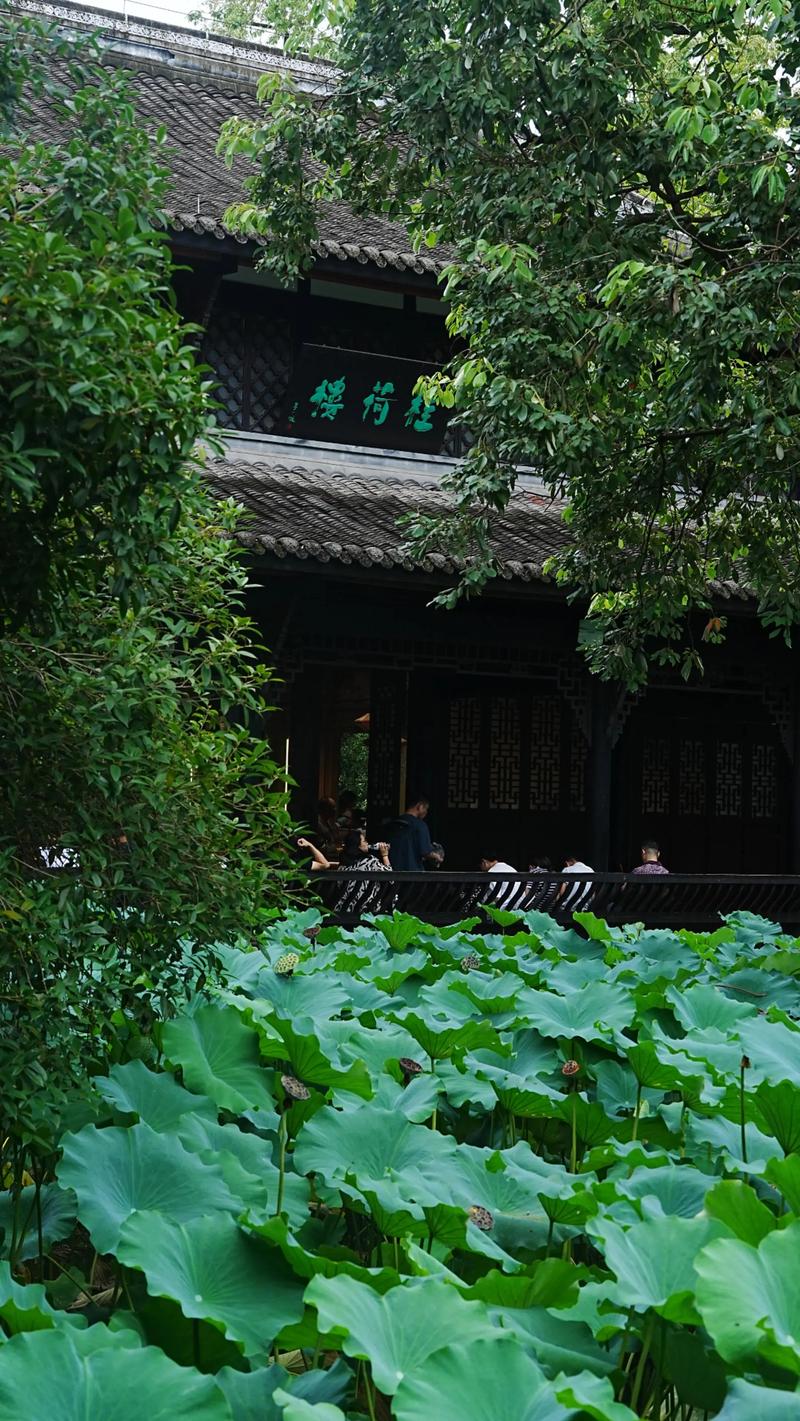 净土典籍导读：五经一论的核心要义