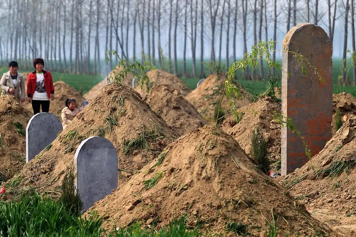 c75c10385343fbf28fd6ebe54111778f67388ff9.jpg c75c10385343fbf28fd6ebe54111778f67388ff9.jpg