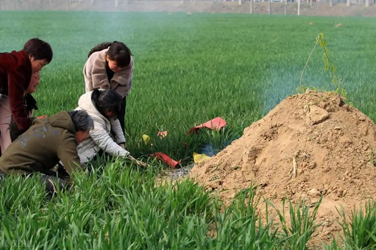 上坟时，是先上父母的坟还是先上爷爷奶奶的坟？